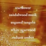 Bath & Body Works In The Stars Body Wash 295ml